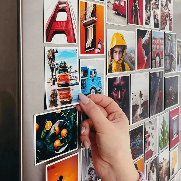 Family Fun Magnets