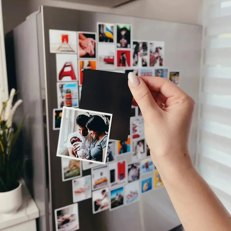 Family Fun Magnets
