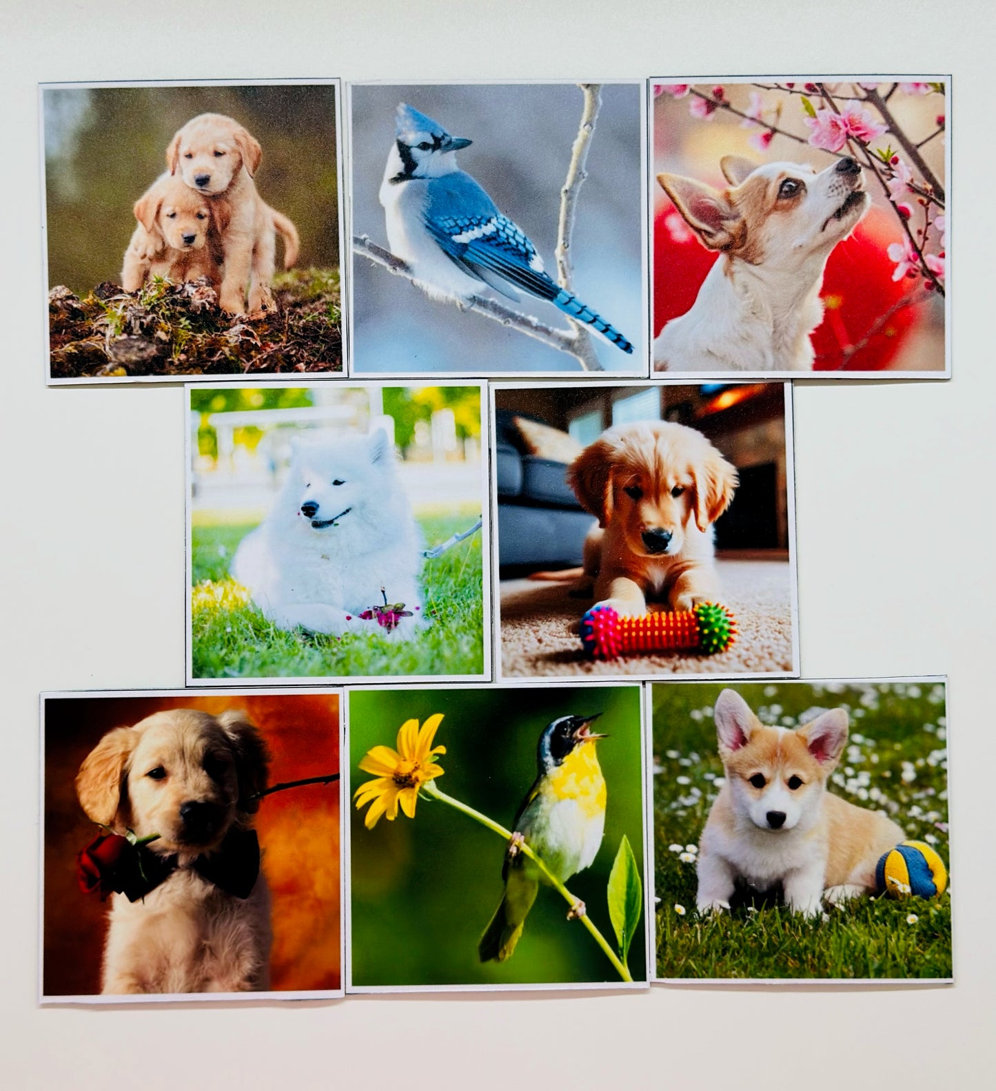 Family Fun Magnets
